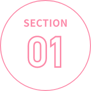 SECTION01