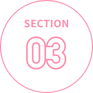 SECTION03