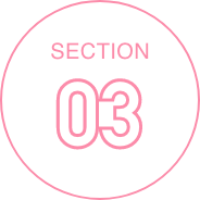 SECTION03