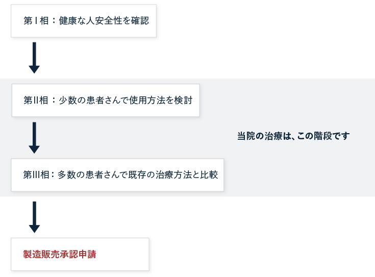 多くの治験は3段階に分けて慎重に進められます